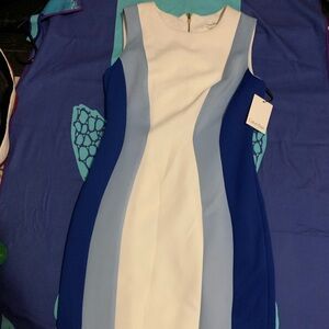Calvin Klein Blue and White Color Block Midi Dress